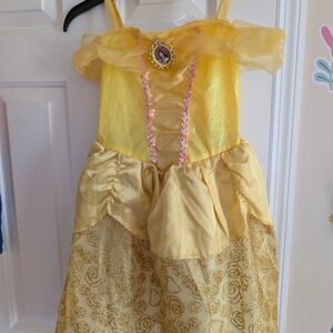 Disney Golden Princess Dress with Rose Details